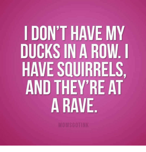 i-dont-have-my-ducks-in-a-row-i-have-5828704